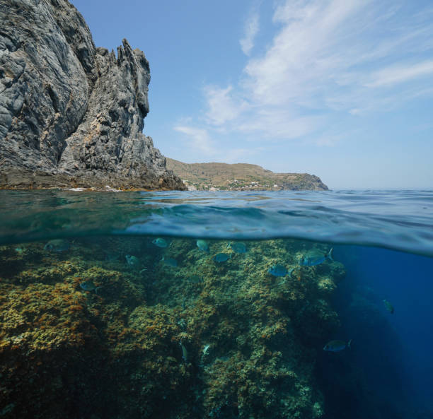 istock Seascape Mediterranean sea split over under water 1340556440