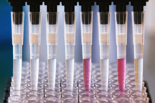 istock Automated liquid handler transfers covid samples to biobank plate 1340557655