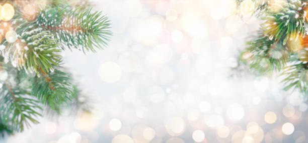 istock Christmas greeting card with fir tree branches covered by snow 1340558730