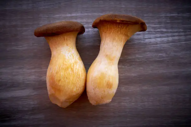 Boletus edulis mushrooms on a wooden board