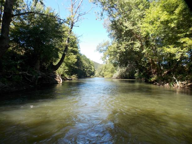 istock the river and the green reflection in it 1340560547