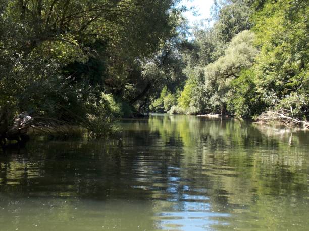 istock the river and the green reflection in it 1340560806