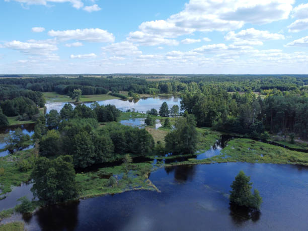 istock Summer day on the river, bird's eye view. 1340560966
