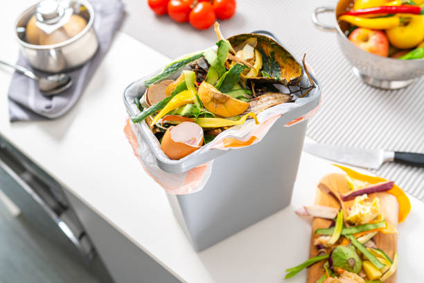 istock Organic food waste in a bin 1340561007