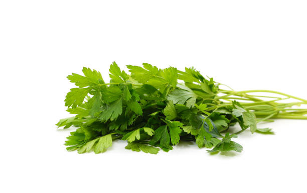 istock Bunch of green parsley. 1340561281