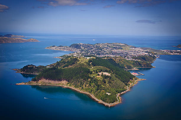 penisola di miramar - cook strait foto e immagini stock