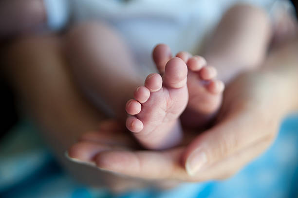 las manos y los pies - newborn baby human foot photography fotografías e imágenes de stock