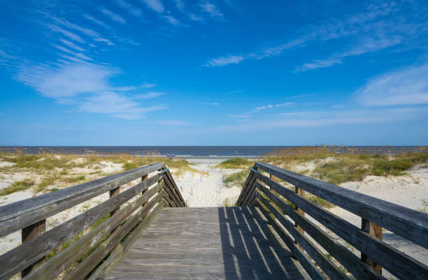 istock Pathway to the beach between grassy sand dunes. 1340565889