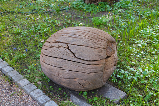 Close-up on a large wooden nut on the ground