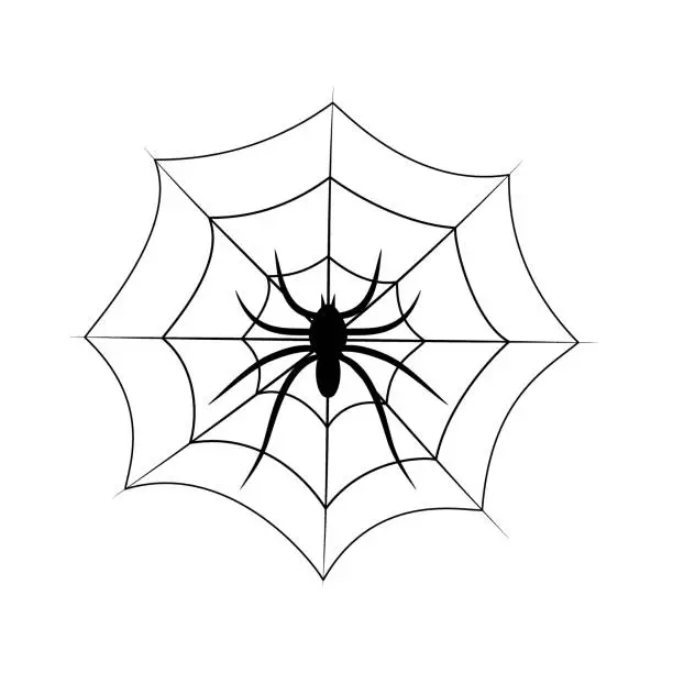 Vector illustration of Spider on a web. Vector illustration isolated on white background.