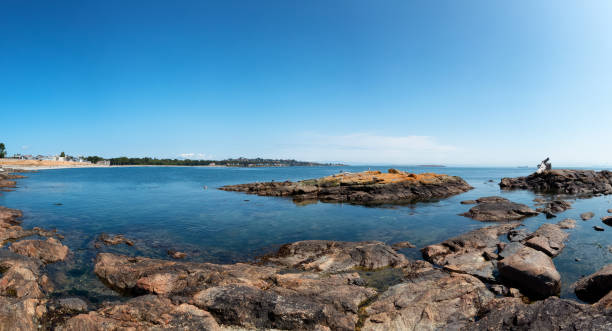 istock Rocky shore with birds at a modern city park, Clover Point 1340573791