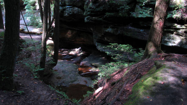 Rocks, Ferns and Trees in Hocking Hills State Park