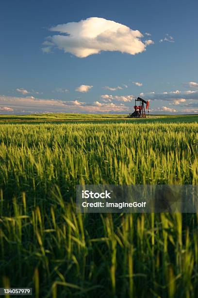 Bohrinsel Im Prairie In Oilsands Region Stockfoto und mehr Bilder von Erdölpumpe - Erdölpumpe, Feld, Erdgas