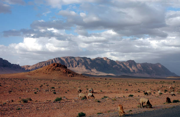 istock Landscape of South East Morocco 1340580927