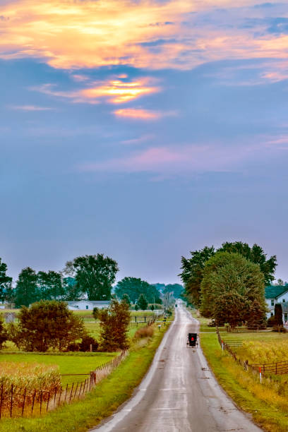 istock Amish Buggies on long rural Road 1340582320