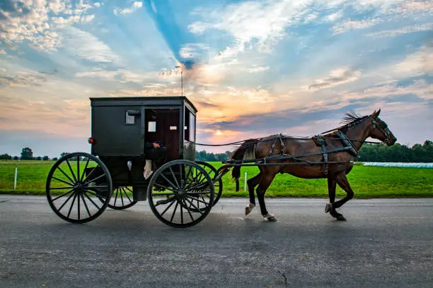 Amish Buggy at Sunrise with sunbeams on rural Indiana road.