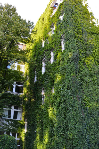 istock Green walls as vertical garden 1340585396