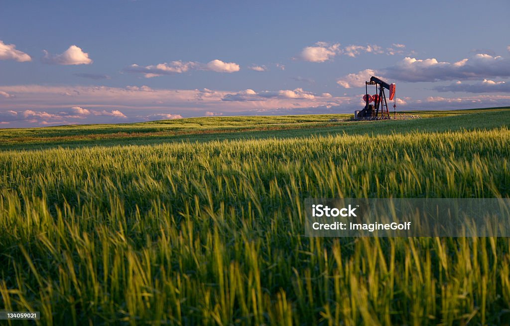 Rojo Pumpjack en el campo de trigo en las ondulantes Alberta Plains - Foto de stock de Petróleo libre de derechos