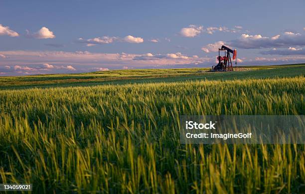 Rojo Pumpjack En El Campo De Trigo En Las Ondulantes Alberta Plains Foto de stock y más banco de imágenes de Petróleo