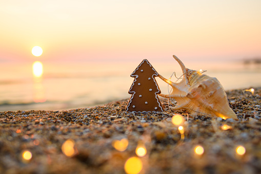 Small Christmas tree with a large beautiful shell on the seashore during the evening sunset. There are garland lights around. Selective focus on the tree.