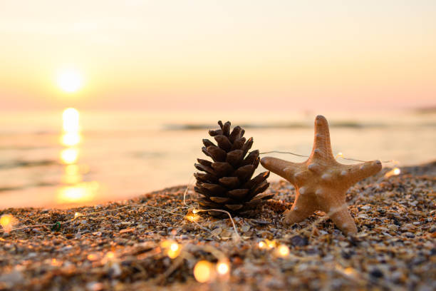 istock A big cone that looks like a Christmas tree stands on the seashore next to a starfish. Horizontal Christmas card. 1340590559