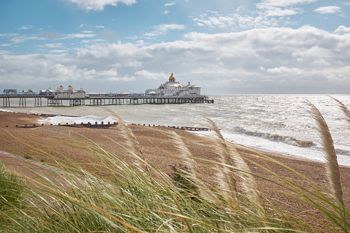 Eastbourne beach and Pier, East Sussex, England. A summertime view through pampass grass across the beach of the English seaside town with its landmark Victorian pier.