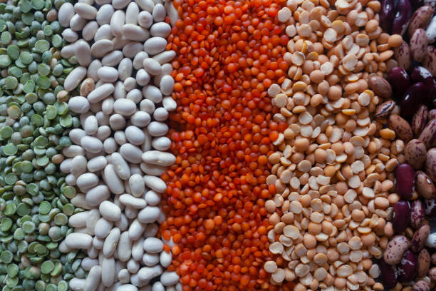 istock different types of legumes were scattered 1340591576