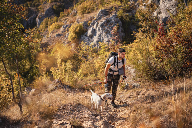 istock Young man and the dog trekking and exploring on mountains 1340591723