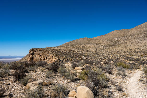 istock Looking Out Toward Salt Basin Overlook in Guadalupe Mountains 1340594489