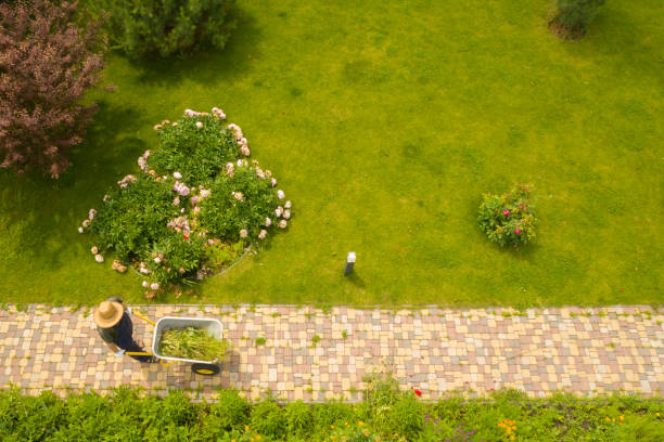 istock A professional gardener is carrying a wheelbarrow on a garden path 1340594531