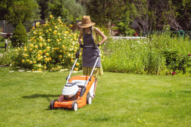 2,000+ Woman Lawn Mower Stock Photos, Pictures & Royalty-Free Images -  iStock