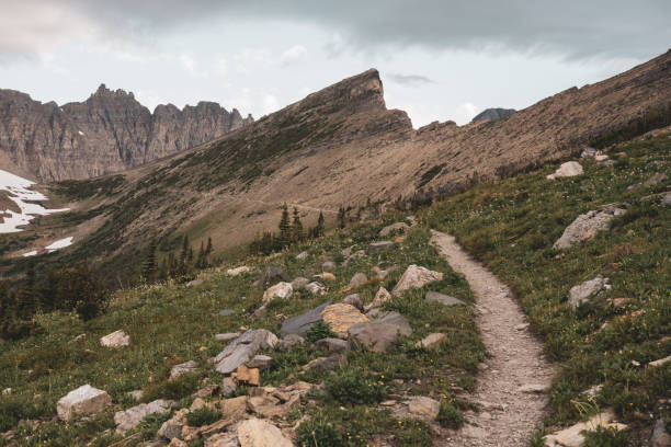 istock Rocky Peaks Surrounding Piegan Pass 1340595364