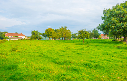 Fields and trees in a green hilly grassy landscape under a blue sky in sunlight in summer, Voeren, Limburg, Belgium, September, 2021