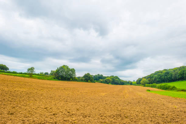 istock Fields and trees in a green hilly grassy landscape under a blue sky in sunlight in summer 1340595499