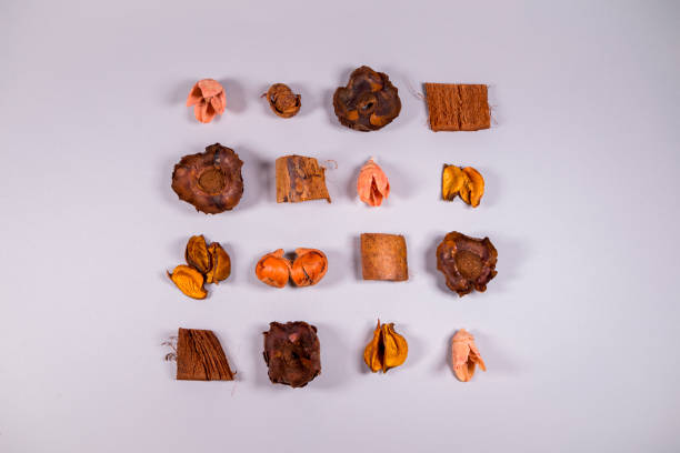 istock Flat lay layout of dry oranges, peach, nut, hazelnut and flowers 1340595544