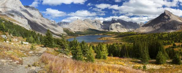 istock Baker Lake, Banff National Park 1340596195