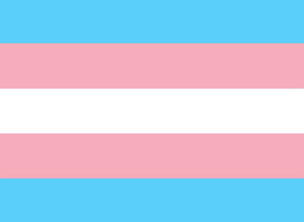istock LGBTQ + Transgender Flag for the rights of pride and sexuality Vector 1340596519