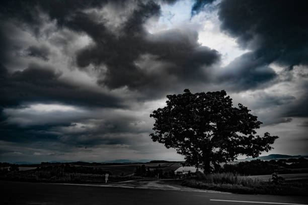 istock Seven Stars of trees and cloudy sky (Hokkaido Biei-cho) 1340597140