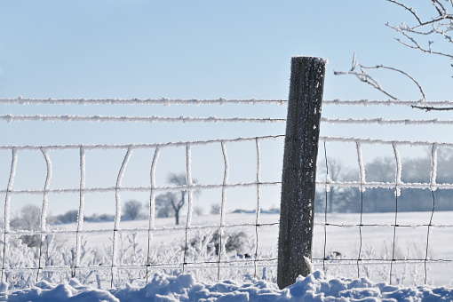 Thick frost on wire fence on the farm.