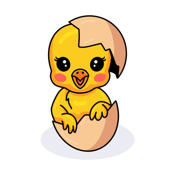 Ilustración de Lindo Pollito Amarillo De Dibujos Animados Dentro De Un Huevo y más Vectores Libres de Derechos de Agricultura - iStock Ilustración de Lindo Pollito Amarillo De Dibujos Animados Dentro De Un Huevo y más Vectores Libres de Derechos de Agricultura - iStock