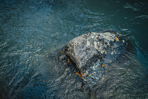 Nature background of deep green lake with stone. Texture of dark blue calm water of lake. Meditative ripples on water surface. Boulder with lichens in clear dark turquoise water. Deep lake fragment.
