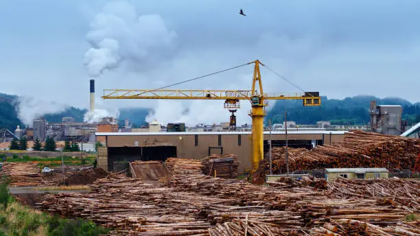 Photo of Sawmill in Oregon with Steaming Paper Mill in Background