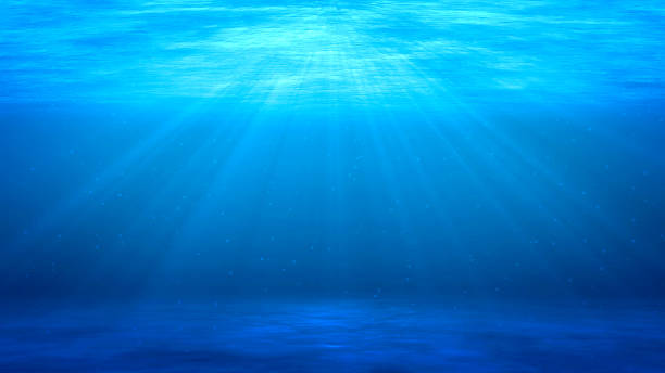 istock Sea waves and Sunshine 1340608489