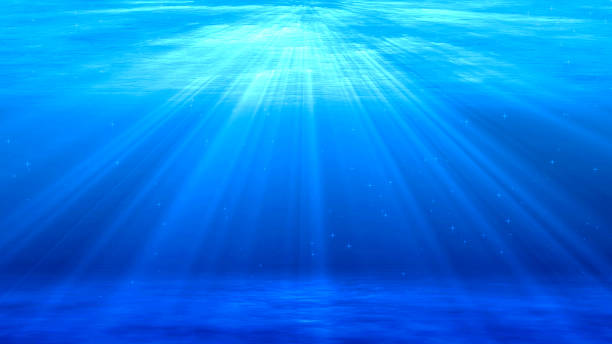 istock Sea waves, Sunshine and Stardust 1340608490