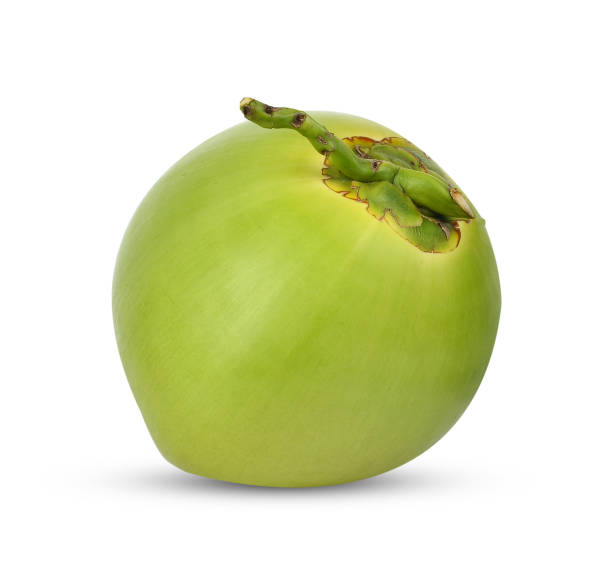 fruta de coco verde aislada sobre fondo blanco - 6134 fotografías e imágenes de stock