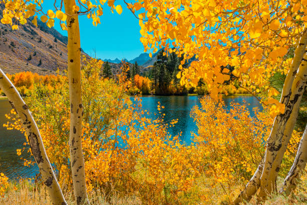 Bishop Creek small pond in Autumn, Sierra Nevada Range, CA.