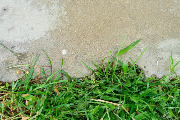 istock Abstract background with artificial grass on cement floor,Green lawn pattern and texture background. Close-up. 1340627956