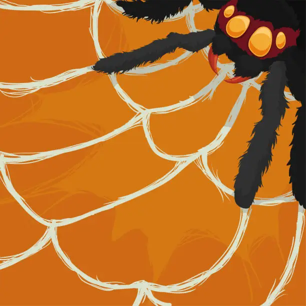 Vector illustration of Hairy Spider Expecting for a Prey in its Cobweb