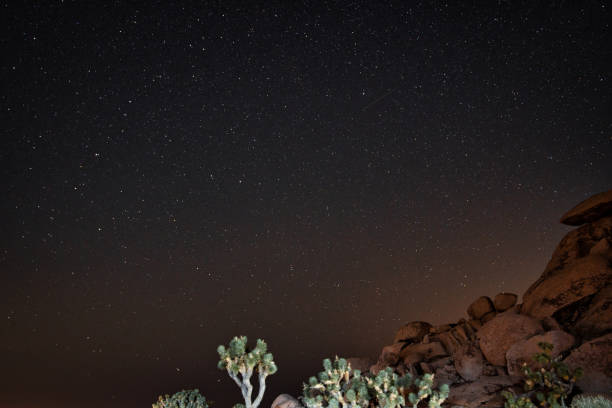 istock Perseid Meteor Shower 2021- Joshua Tree 1340634705