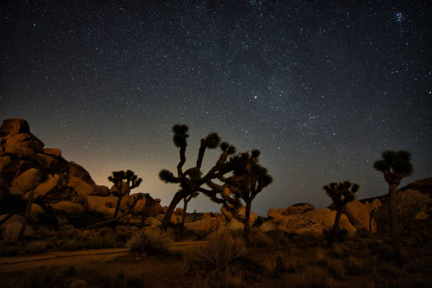 istock Perseid Meteor Shower 2021- Joshua Tree 1340634826